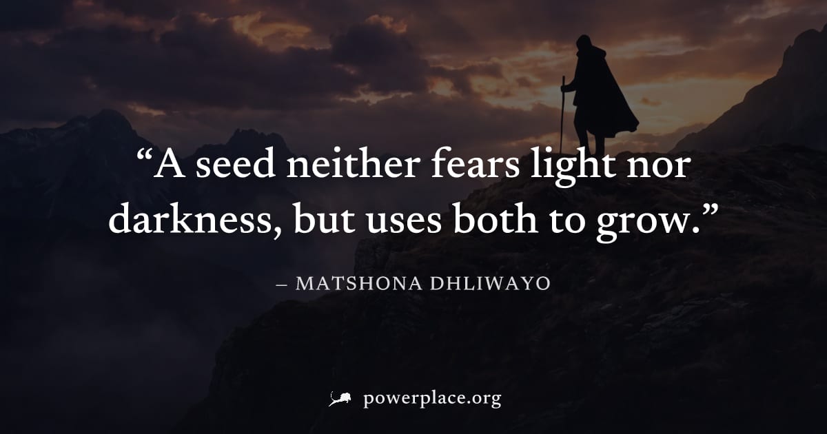 "A seed neither fears light nor darkness, but uses both to grow." — Matshona Dhliwayo