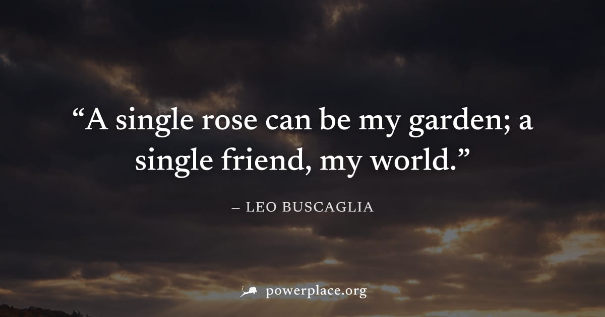 "A single rose can be my garden; a single friend, my world." — Leo Buscaglia