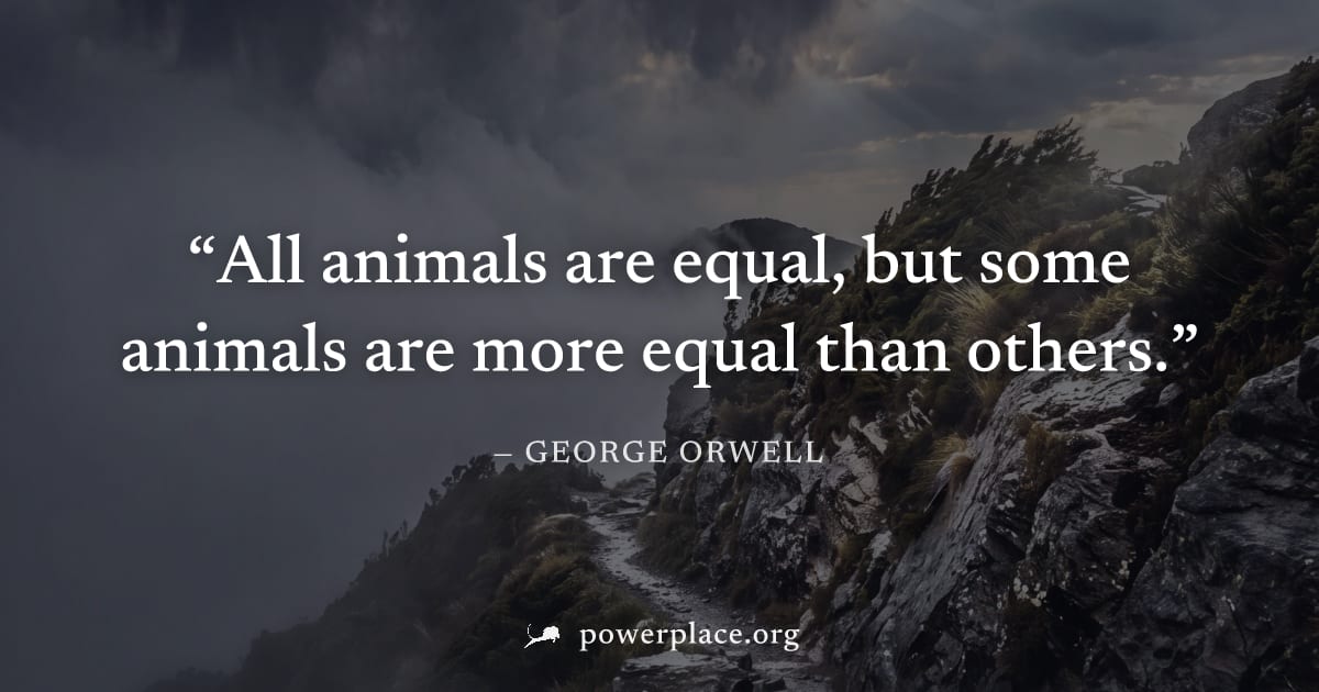 "All animals are equal, but some animals are more equal than others." — George Orwell