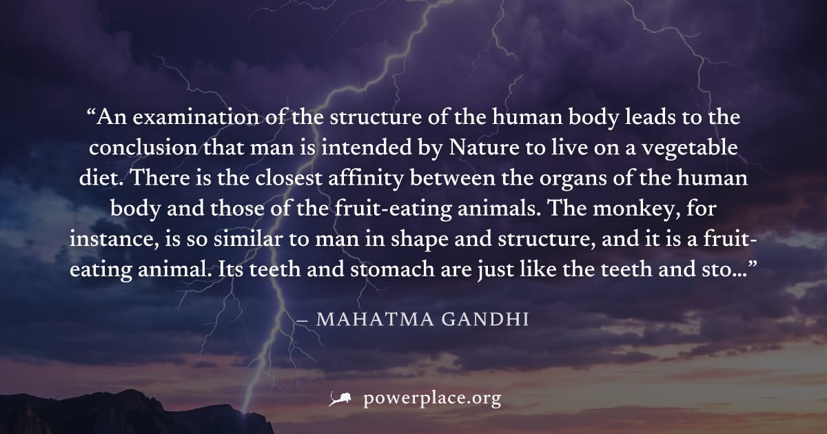 "An examination of the structure of the human body leads to the conclusion that man is intended by Nature to live on a vegetable diet. There is the closest affinity between the organs of the human bod