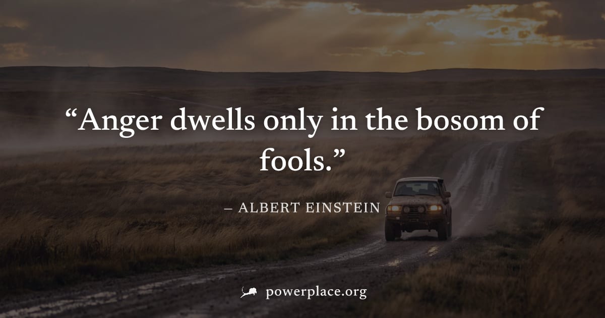 "Anger dwells only in the bosom of fools." — Albert Einstein