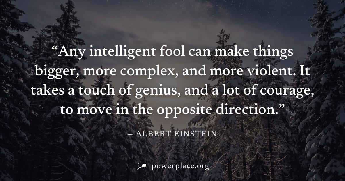 "Any intelligent fool can make things bigger, more complex, and more violent. It takes a touch of genius, and a lot of courage, to move in the opposite direction." — Albert Einstein