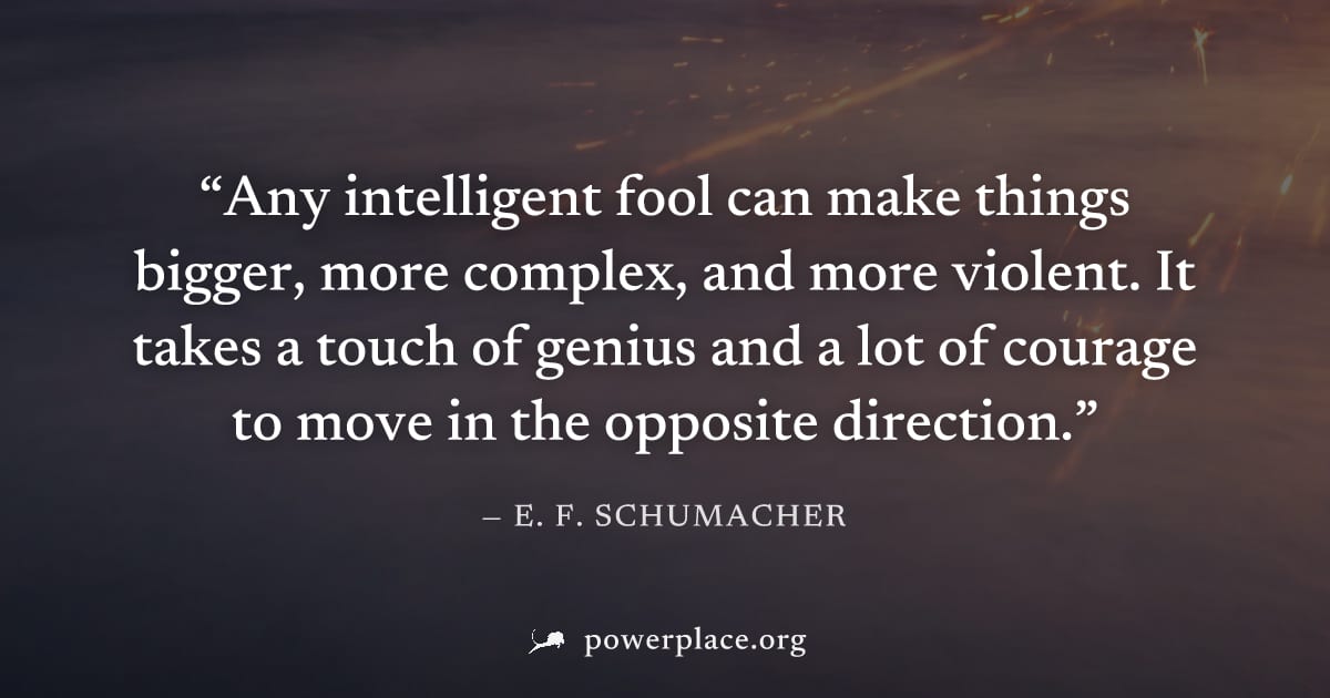 "Any intelligent fool can make things bigger, more complex, and more violent. It takes a touch of genius and a lot of courage to move in the opposite direction." — E. F. Schumacher