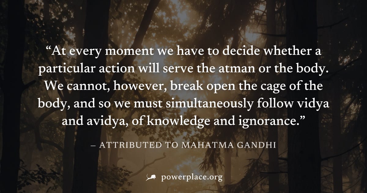 "At every moment we have to decide whether a particular action will serve the atman or the body. We cannot, however, break open the cage of the body, and so we must simultaneously follow vidya and avi