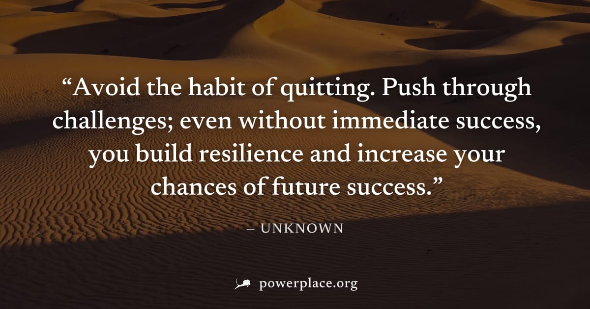"Avoid the habit of quitting. Push through challenges; even without immediate success, you build resilience and increase your chances of future success." — Unknown