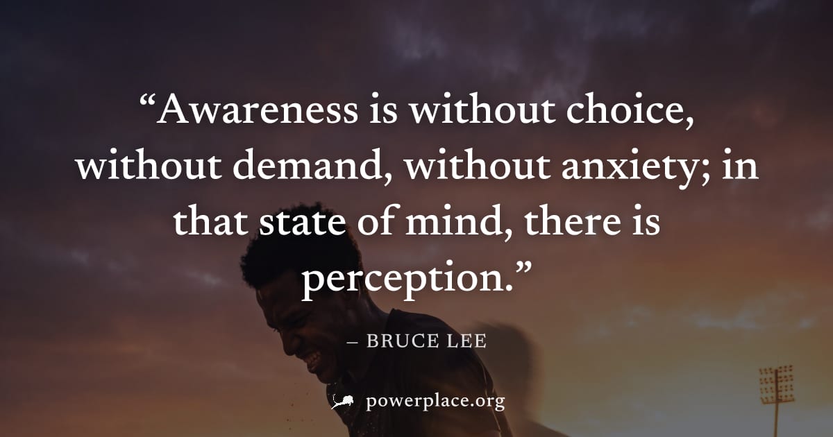"Awareness is without choice, without demand, without anxiety; in that state of mind, there is perception." — Bruce Lee