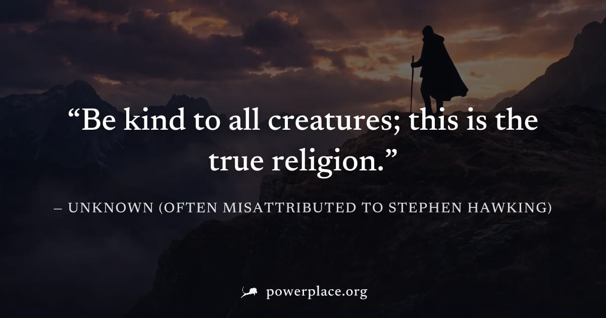 "Be kind to all creatures; this is the true religion." — Unknown (often misattributed to Stephen Hawking)