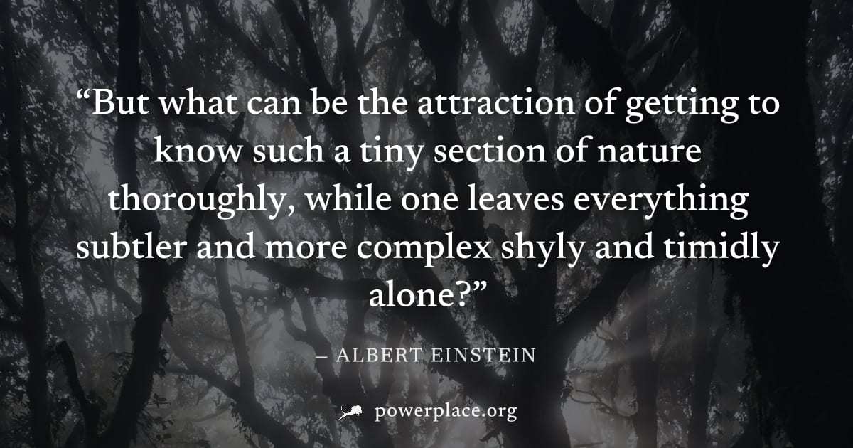"But what can be the attraction of getting to know such a tiny section of nature thoroughly, while one leaves everything subtler and more complex shyly and timidly alone?" — Albert Einstein