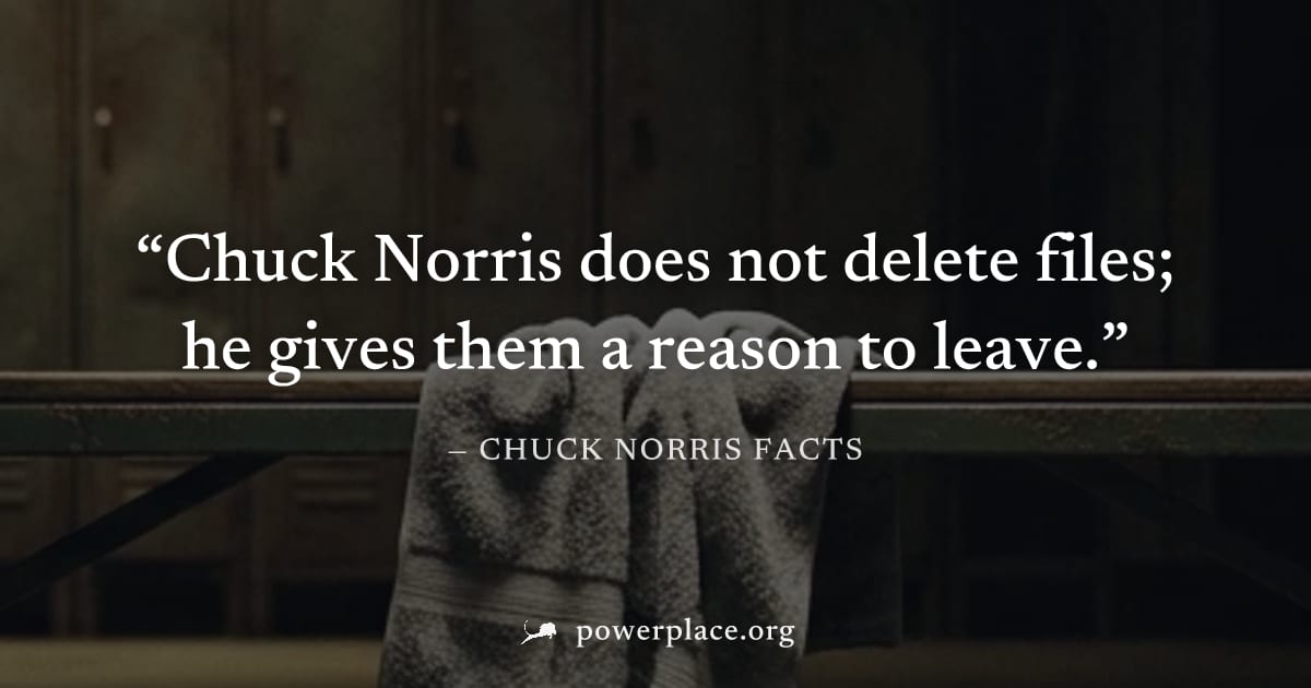 "Chuck Norris does not delete files; he gives them a reason to leave." — Chuck Norris Facts