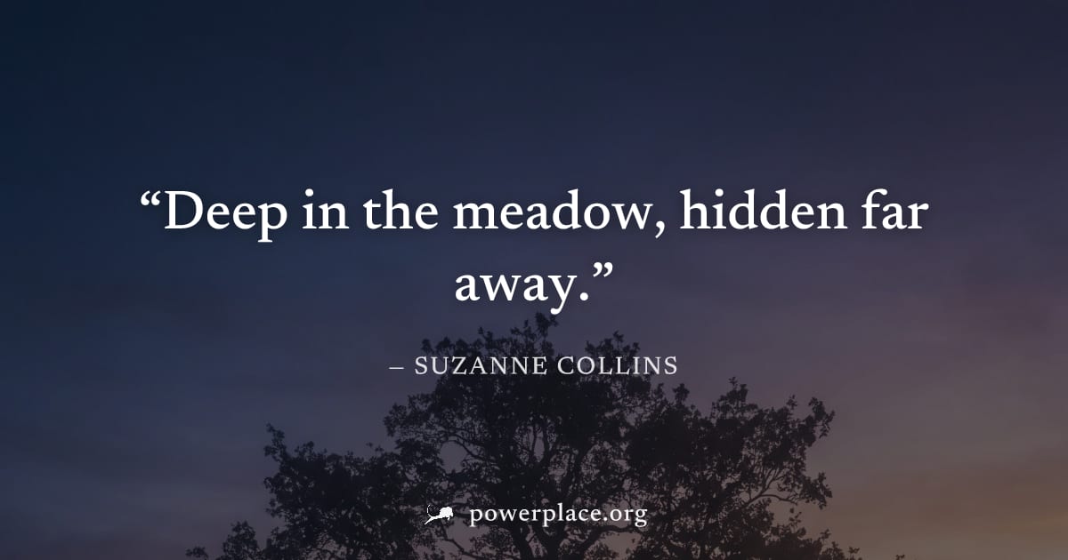 "Deep in the meadow, hidden far away." — Suzanne Collins
