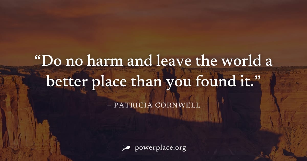 "Do no harm and leave the world a better place than you found it." — Patricia Cornwell