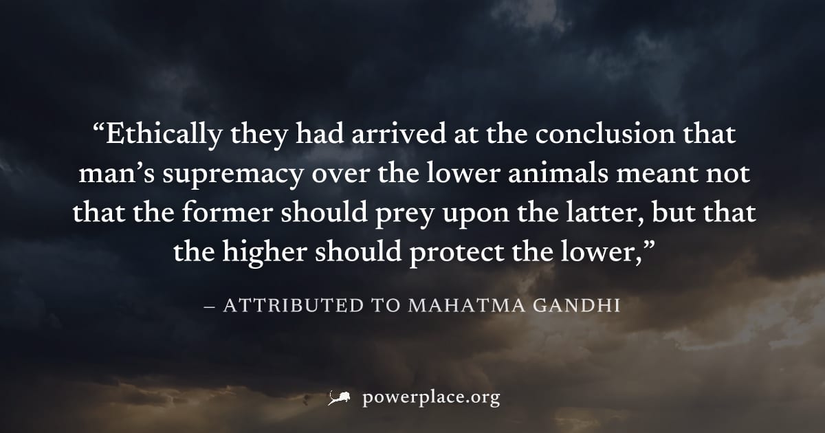 "Ethically they had arrived at the conclusion that man’s supremacy over the lower animals meant not that the former should prey upon the latter, but that the higher should protect the lower," — Attrib
