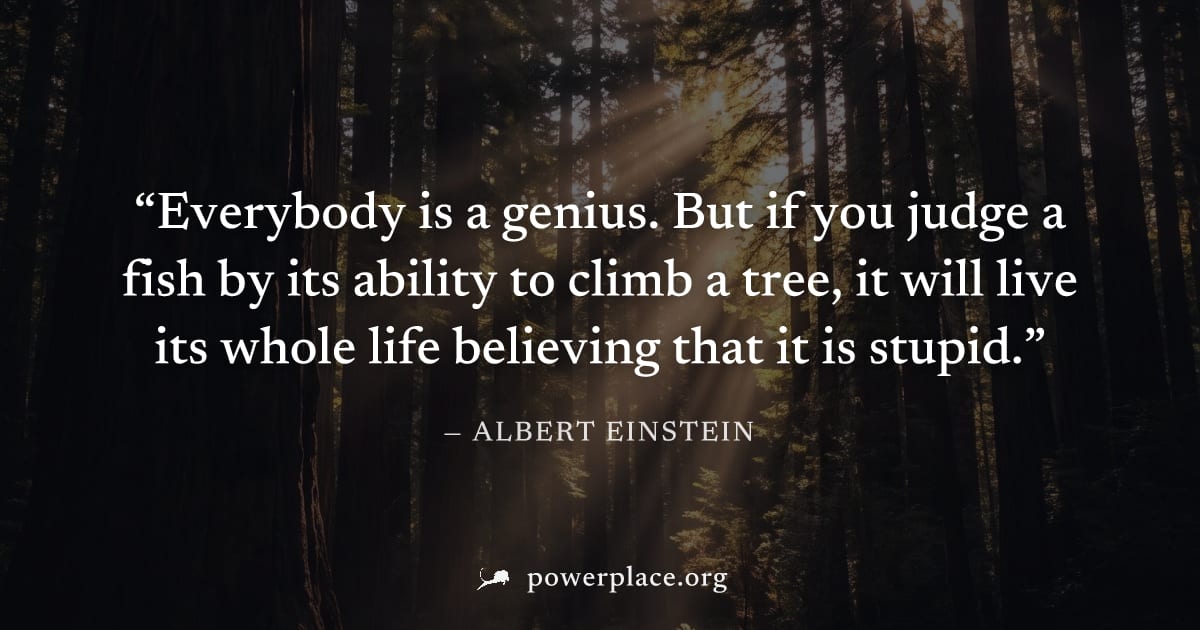 "Everybody is a genius. But if you judge a fish by its ability to climb a tree, it will live its whole life believing that it is stupid." — Albert Einstein
