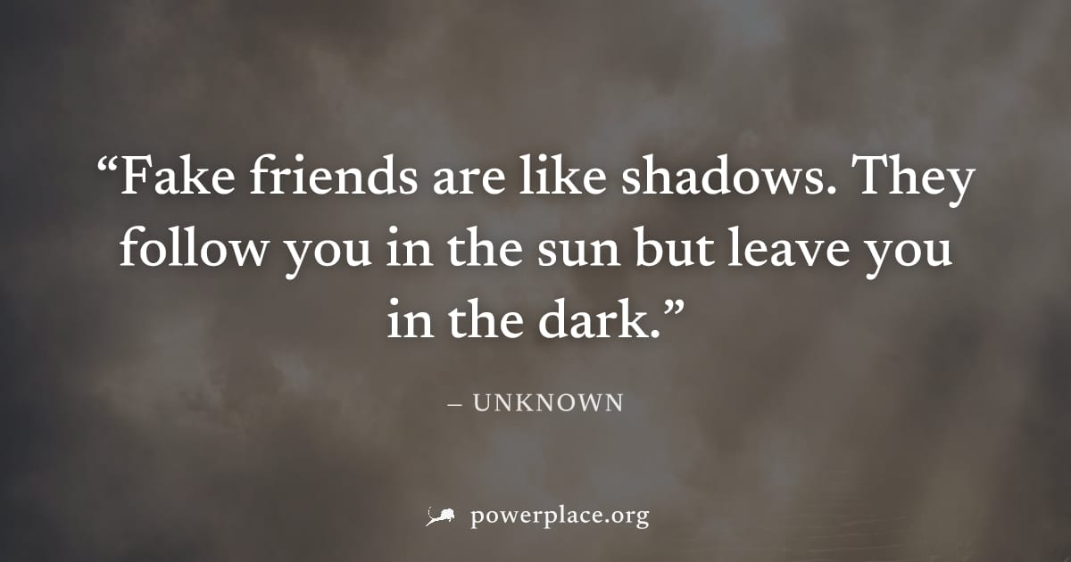 "Fake friends are like shadows. They follow you in the sun but leave you in the dark." — Unknown