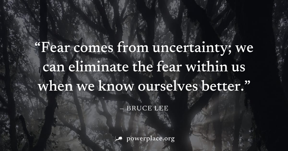 "Fear comes from uncertainty; we can eliminate the fear within us when we know ourselves better." — Bruce Lee