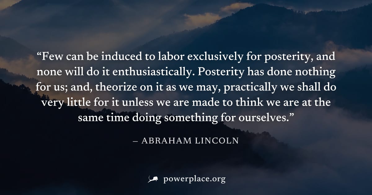 "Few can be induced to labor exclusively for posterity, and none will do it enthusiastically. Posterity has done nothing for us; and, theorize on it as we may, practically we shall do very little for 