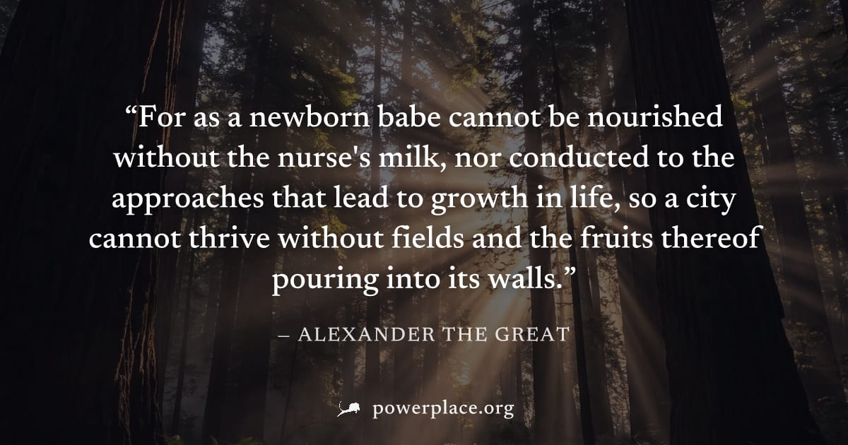 "For as a newborn babe cannot be nourished without the nurse's milk, nor conducted to the approaches that lead to growth in life, so a city cannot thrive without fields and the fruits thereof pouring 