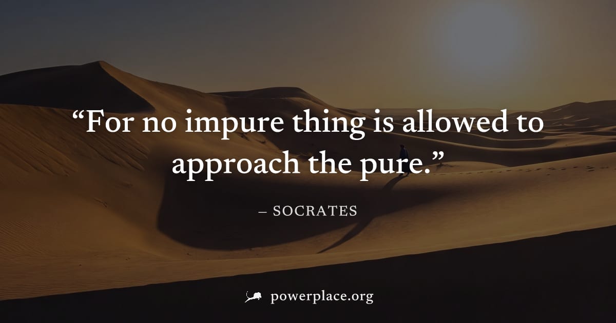 "For no impure thing is allowed to approach the pure." — Socrates