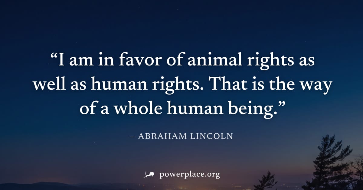 "I am in favor of animal rights as well as human rights. That is the way of a whole human being." — Abraham Lincoln