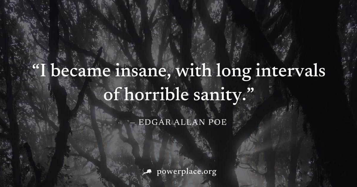 "I became insane, with long intervals of horrible sanity." — Edgar Allan Poe