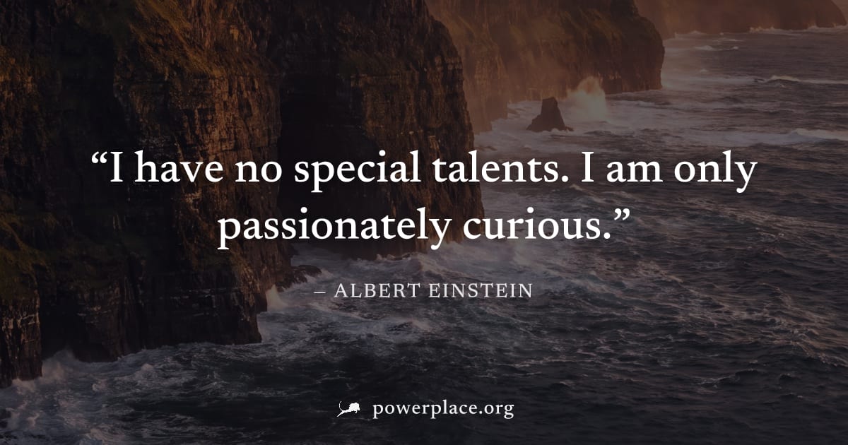 "I have no special talents. I am only passionately curious." — Albert Einstein