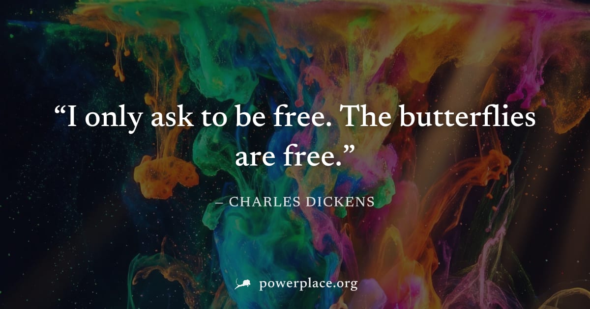 "I only ask to be free. The butterflies are free." — Charles Dickens