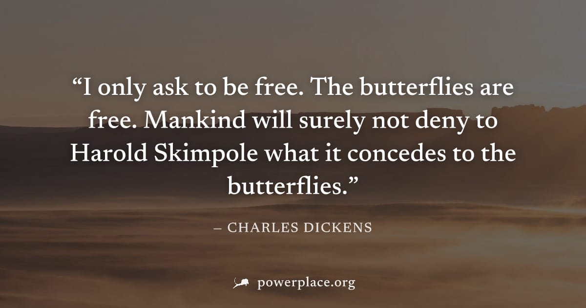 "I only ask to be free. The butterflies are free. Mankind will surely not deny to Harold Skimpole what it concedes to the butterflies." — Charles Dickens