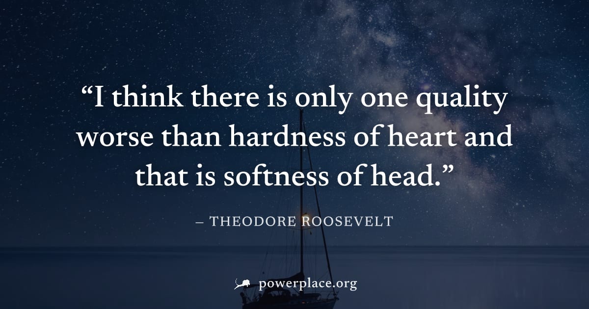 "I think there is only one quality worse than hardness of heart and that is softness of head." — Theodore Roosevelt