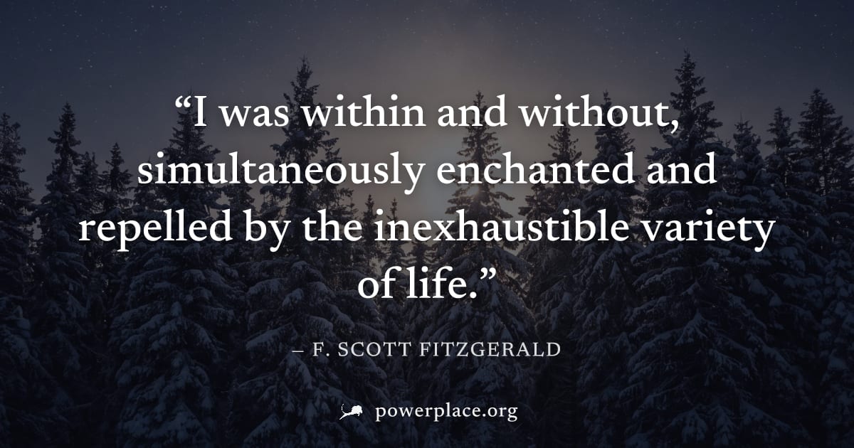 "I was within and without, simultaneously enchanted and repelled by the inexhaustible variety of life." — F. Scott Fitzgerald