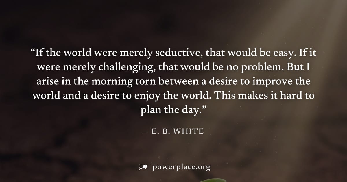 "If the world were merely seductive, that would be easy. If it were merely challenging, that would be no problem. But I arise in the morning torn between a desire to improve the world and a desire to 