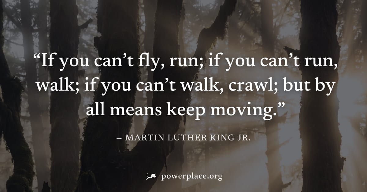 "If you can’t fly, run; if you can’t run, walk; if you can’t walk, crawl; but by all means keep moving." — Martin Luther King Jr.