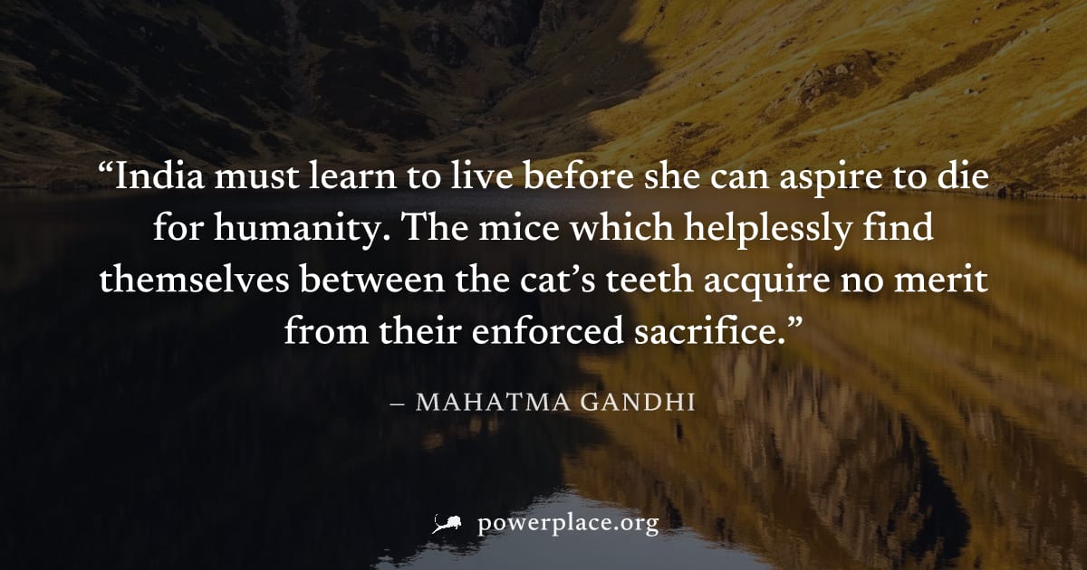 "India must learn to live before she can aspire to die for humanity. The mice which helplessly find themselves between the cat’s teeth acquire no merit from their enforced sacrifice." — Mahatma Gandhi