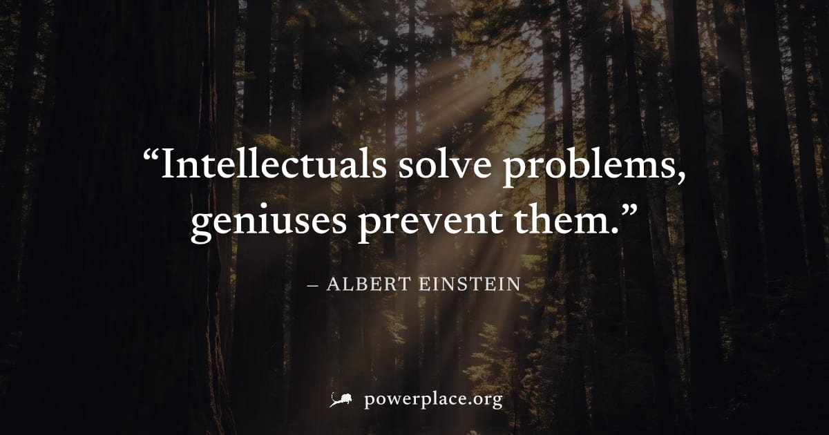 "Intellectuals solve problems, geniuses prevent them." — Albert Einstein