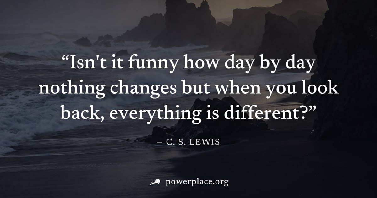 "Isn't it funny how day by day nothing changes but when you look back, everything is different?" — C. S. Lewis