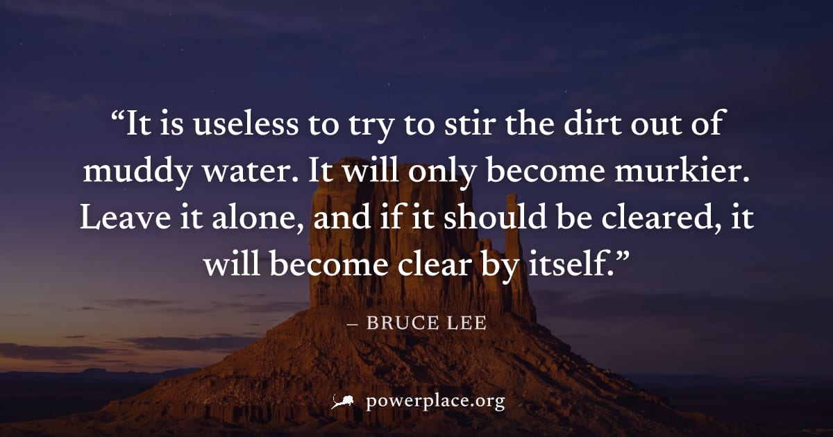 "It is useless to try to stir the dirt out of muddy water. It will only become murkier. Leave it alone, and if it should be cleared, it will become clear by itself." — Bruce Lee