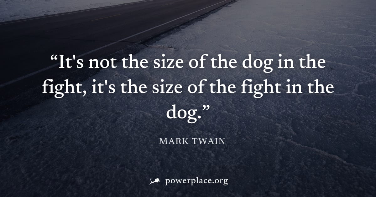 "It's not the size of the dog in the fight, it's the size of the fight in the dog." — Mark Twain