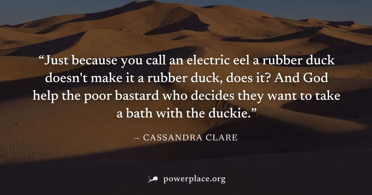 "Just because you call an electric eel a rubber duck doesn't make it a rubber duck, does it? And God help the poor bastard who decides they want to take a bath with the duckie." — Cassandra Clare
