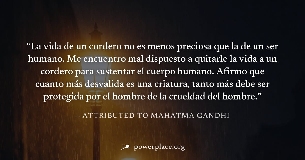 "La vida de un cordero no es menos preciosa que la de un ser humano. Me encuentro mal dispuesto a quitarle la vida a un cordero para sustentar el cuerpo humano. Afirmo que cuanto más desvalida es una 