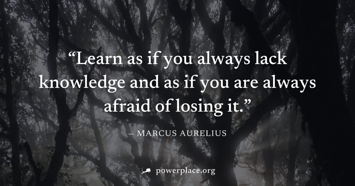 "Learn as if you always lack knowledge and as if you are always afraid of losing it." — Marcus Aurelius