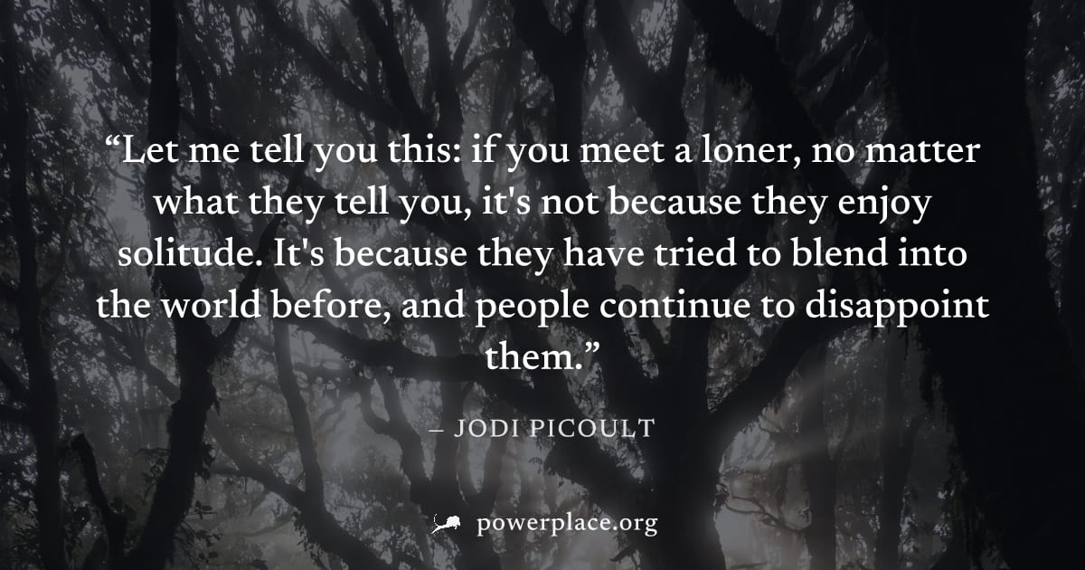 "Let me tell you this: if you meet a loner, no matter what they tell you, it's not because they enjoy solitude. It's because they have tried to blend into the world before, and people continue to disa