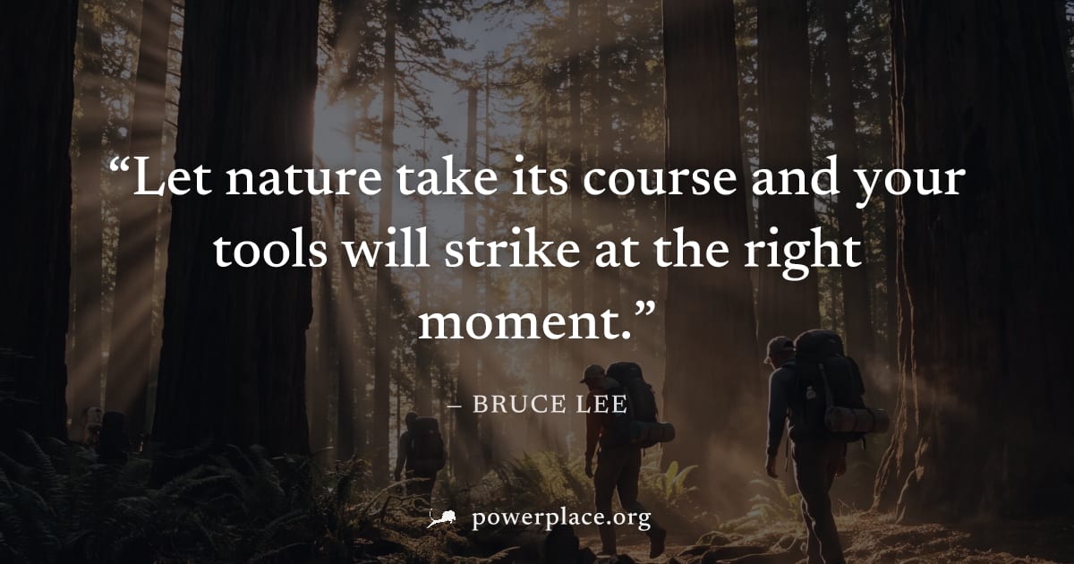 "Let nature take its course and your tools will strike at the right moment." — Bruce Lee