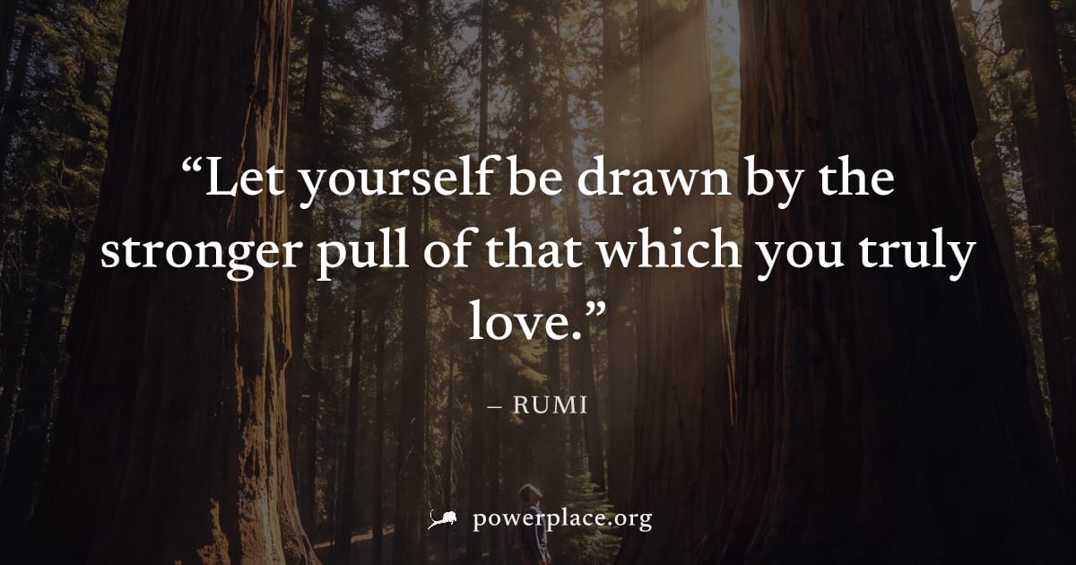 "Let yourself be drawn by the stronger pull of that which you truly love." — Rumi