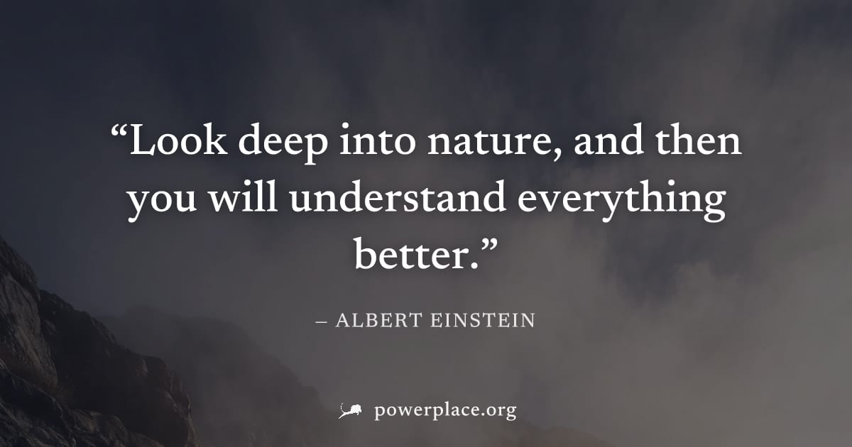 "Look deep into nature, and then you will understand everything better." — Albert Einstein