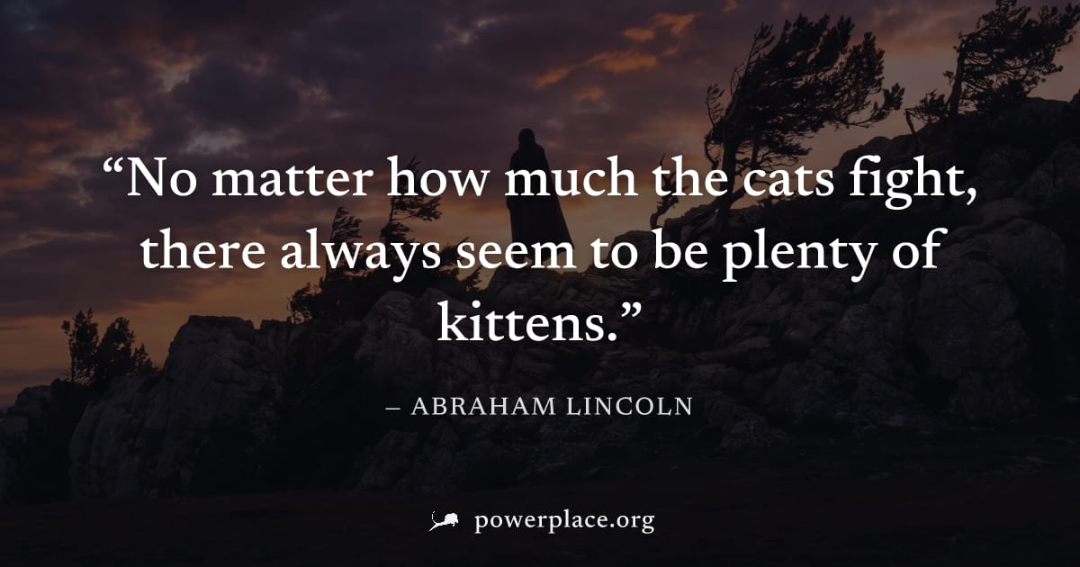 "No matter how much the cats fight, there always seem to be plenty of kittens." — Abraham Lincoln