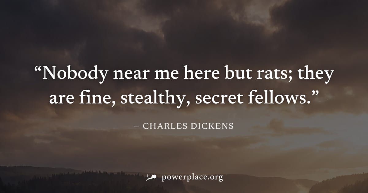 "Nobody near me here but rats; they are fine, stealthy, secret fellows." — Charles Dickens
