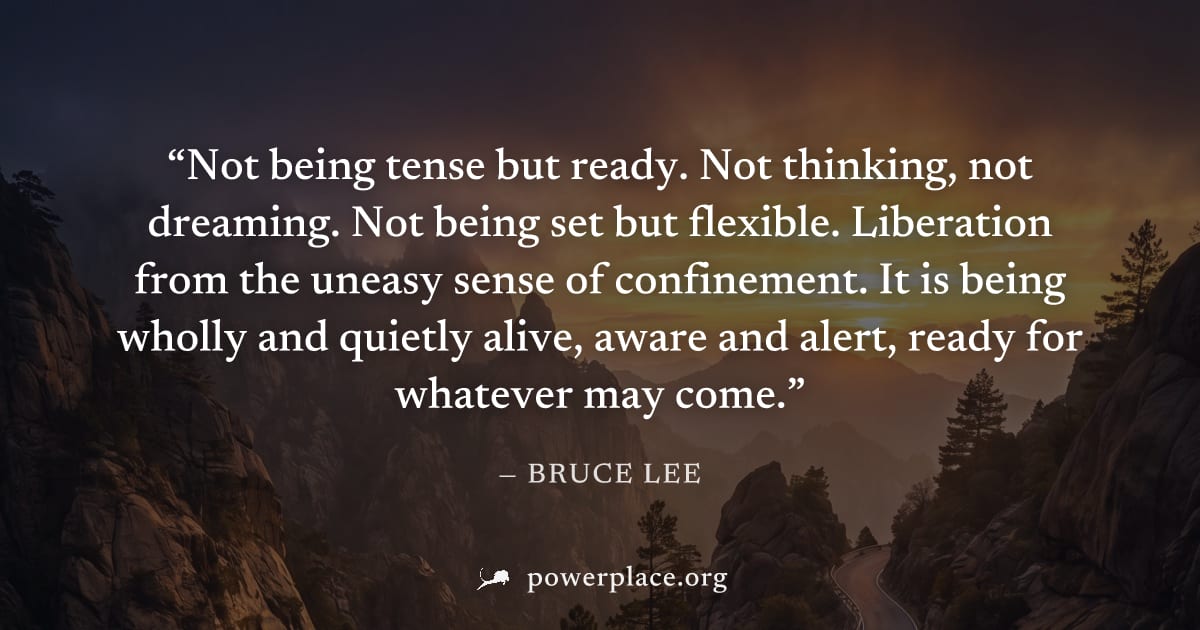 "Not being tense but ready. Not thinking, not dreaming. Not being set but flexible. Liberation from the uneasy sense of confinement. It is being wholly and quietly alive, aware and alert, ready for wh