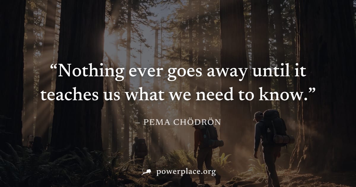 "Nothing ever goes away until it teaches us what we need to know." — Pema Chödrön