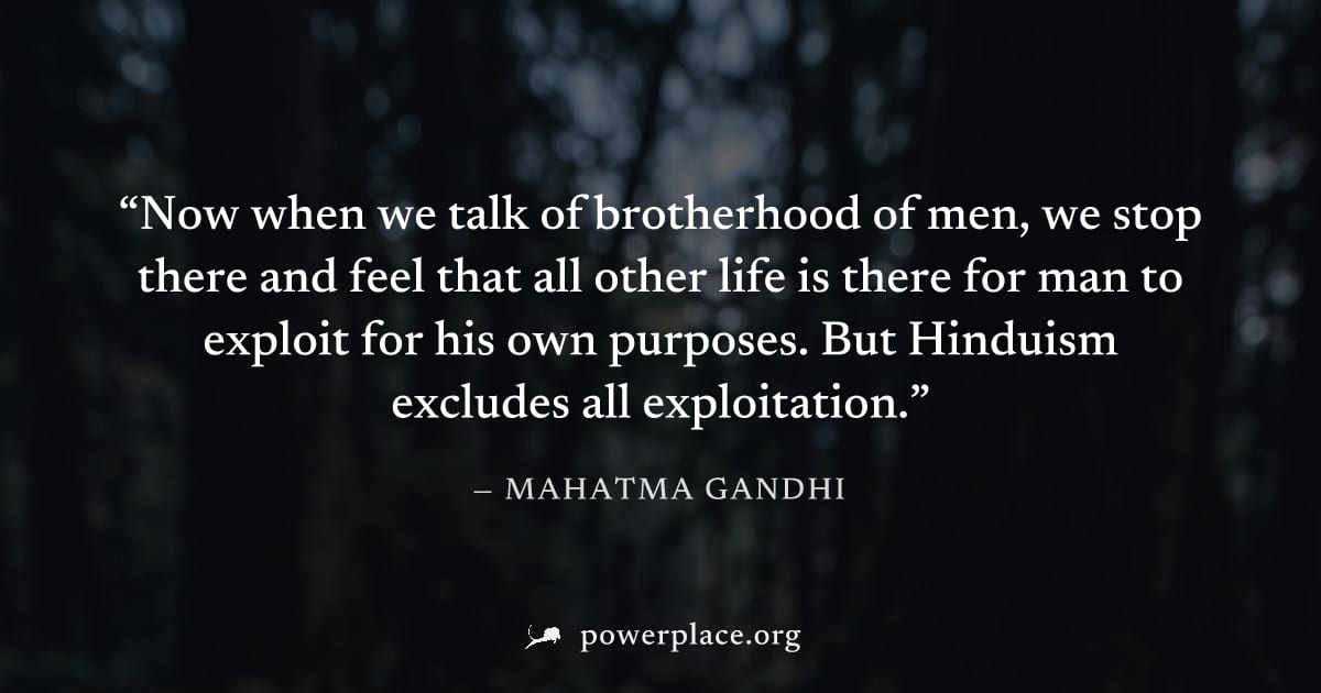 "Now when we talk of brotherhood of men, we stop there and feel that all other life is there for man to exploit for his own purposes. But Hinduism excludes all exploitation." — Mahatma Gandhi