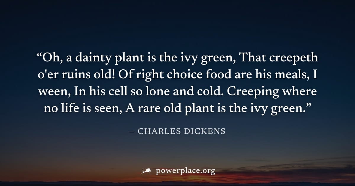 "Oh, a dainty plant is the ivy green, That creepeth o'er ruins old! Of right choice food are his meals, I ween, In his cell so lone and cold. Creeping where no life is seen, A rare old plant is the iv