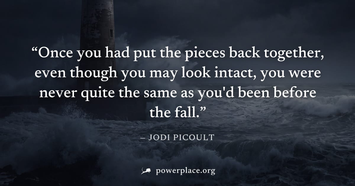 "Once you had put the pieces back together, even though you may look intact, you were never quite the same as you'd been before the fall." — Jodi Picoult